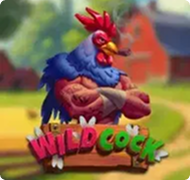 Wild Cock Wild Cock